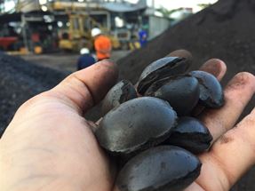 Binderless Coal Briquetting